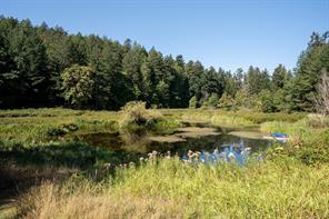 5320 Old West Saanich Rd — listing photo 26 of 28