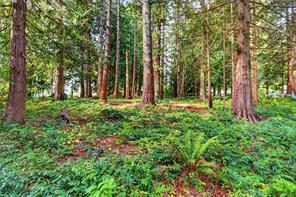 7842 Tozer Rd — listing photo 30 of 33