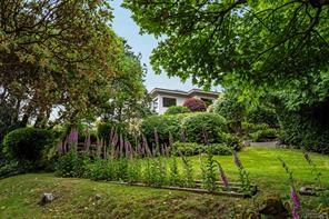 11406 Sycamore Dr — listing photo 63 of 71