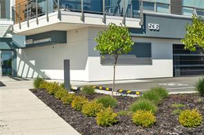404-536 Island Hwy — listing photo 16 of 66
