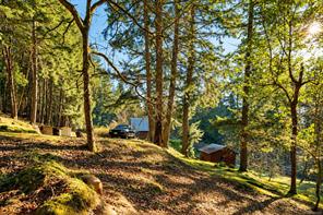 1183 Hillgrove Rd — listing photo 27 of 36