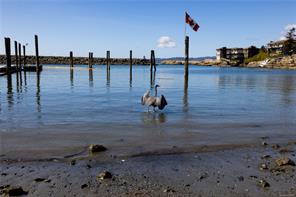 314-1315 Esquimalt Rd — listing photo 39 of 44