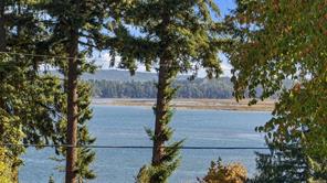 Property Photo 44