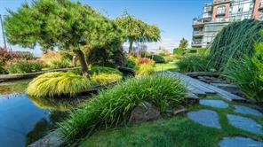 517-21 Dallas Rd — listing photo 49 of 64