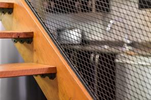 405-829 Goldstream Ave — listing photo 36 of 42
