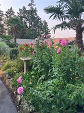 129 Sunset Dr — listing photo 29 of 31