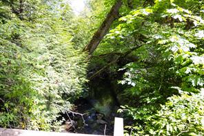 7028 Westholme Rd — listing photo 20 of 73