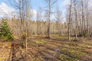 2745 Shaver Rd — listing photo 13 of 27