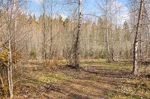 2745 Shaver Rd — listing photo 14 of 27