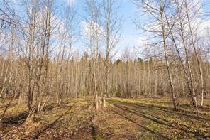 2745 Shaver Rd — listing photo 15 of 27