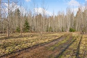 2745 Shaver Rd — listing photo 16 of 27