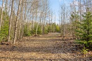 2745 Shaver Rd — listing photo 18 of 27