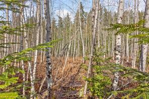 2745 Shaver Rd — listing photo 19 of 27