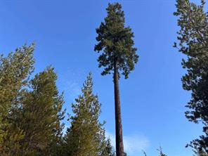 Lot B-6876 Danes Rd — listing photo 16 of 24