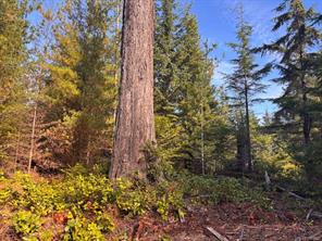 Lot B-6876 Danes Rd — listing photo 17 of 24