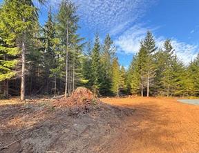 Lot B-6876 Danes Rd — listing photo 23 of 24