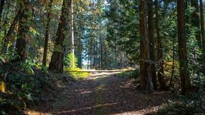 1870 Millstream Rd — listing photo 20 of 47