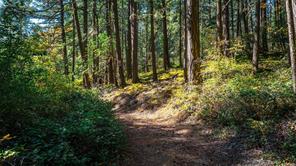 1870 Millstream Rd — listing photo 21 of 47