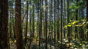 1870 Millstream Rd — listing photo 26 of 47