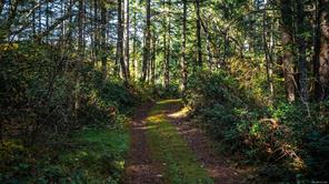 1870 Millstream Rd — listing photo 40 of 47