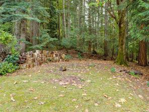 905 Worrall Dr — listing photo 35 of 45