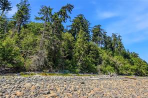 590 Willow St — listing photo 77 of 78