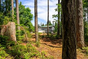 4530 Thompson Clarke Dr — listing photo 48 of 60
