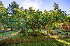 6161 Lacon Rd — listing photo 36 of 63