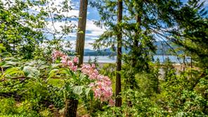 6161 Lacon Rd — listing photo 63 of 63