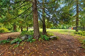 2839 Wedgewood Dr — listing photo 68 of 99