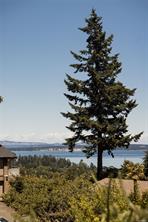 5254 Westover Pl — listing photo 38 of 41