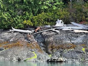 49 Busby Island — listing photo 53 of 63