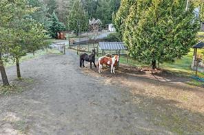 1136 Corcan Rd — listing photo 49 of 72