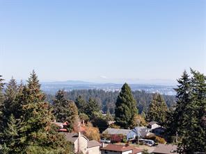 3387 Haida Dr — listing photo 30 of 60