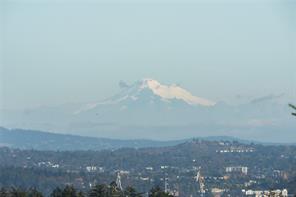 3387 Haida Dr — listing photo 33 of 60