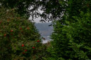 551 Birch St — listing photo 64 of 86