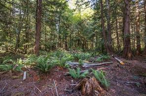 Lot B-2059 Sherritt Dr — listing photo 16 of 27