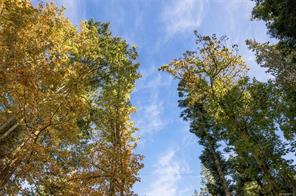 Lot B-2059 Sherritt Dr — listing photo 17 of 27