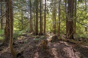 Lot B-2059 Sherritt Dr — listing photo 18 of 27