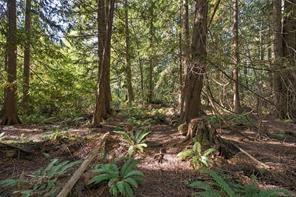 Lot B-2059 Sherritt Dr — listing photo 19 of 27
