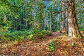 Lot B-2059 Sherritt Dr — listing photo 23 of 27