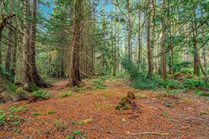 Lot B-2059 Sherritt Dr — listing photo 24 of 27