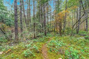 Lot B-2059 Sherritt Dr — listing photo 25 of 27