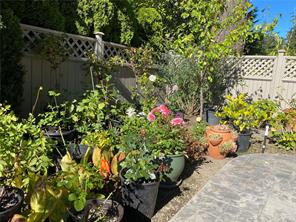 906 Cobblestone Lane — listing photo 58 of 77