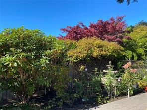 906 Cobblestone Lane — listing photo 66 of 77