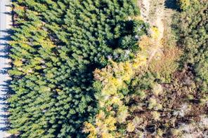 Chantrelle Way — listing photo 14 of 15