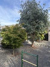 246 Lodgepole Dr — listing photo 30 of 35