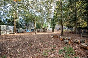 1706 Mills Rd — listing photo 36 of 48