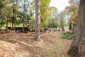 1706 Mills Rd — listing photo 37 of 48