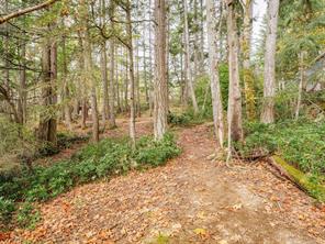 2511 Florence Lake Rd — listing photo 37 of 56